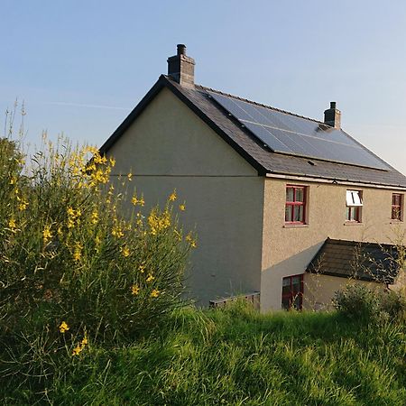 Treberfedd Farm Cottages And Cabins Lampeter Exterior foto