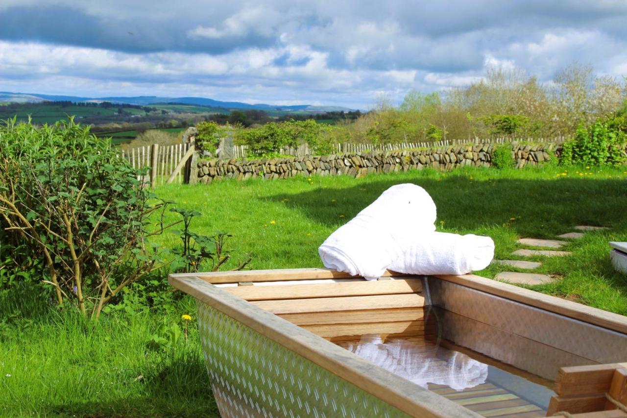 Treberfedd Farm Cottages And Cabins Lampeter Exterior foto